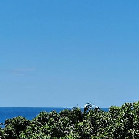 Joli T2 En Bas De Villa Vue Jardin Et Mer В'єз-Абітан Екстер'єр фото